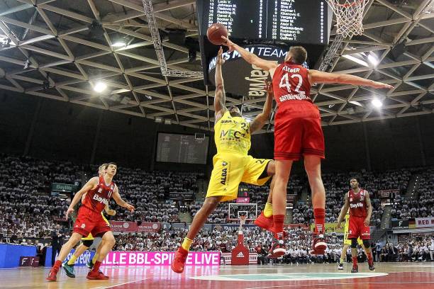 年轻新星的 年轻新星的